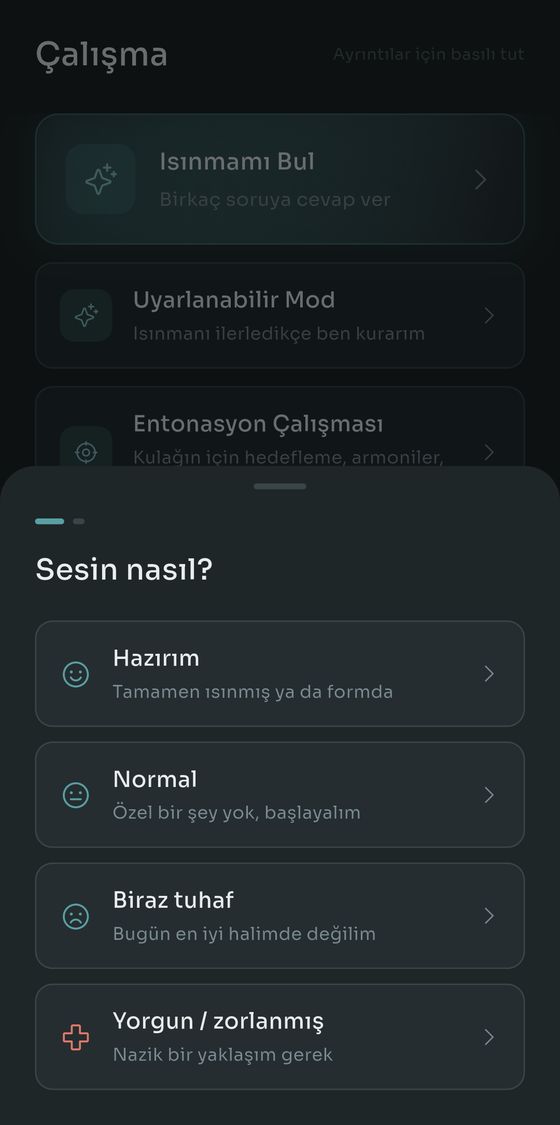 Isınmamı Bul, sesinin nasıl olduğunu soruyor